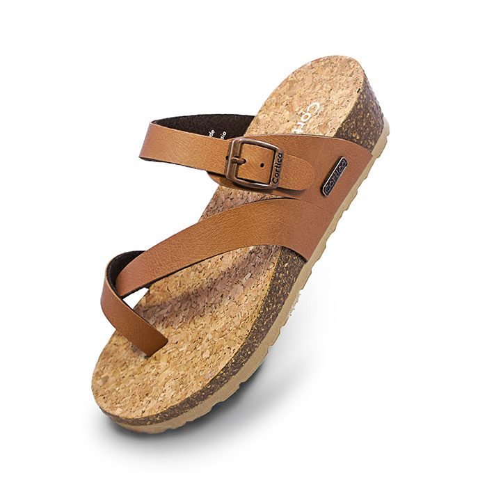 Wheeler-Camel1