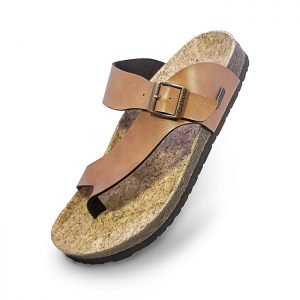 Gibbs-Camel-1