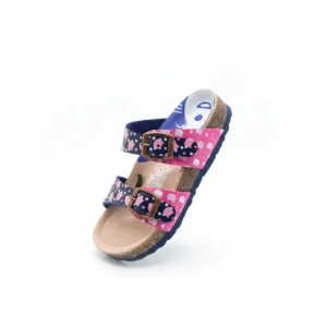 DKF-10 Matisse 01